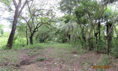 SEA CONFIABLE VENDE TERRENO EN SAN CARLITOS DAVID CHIRIQUI