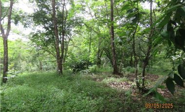 SEA CONFIABLE VENDE TERRENO EN SAN CARLITOS DAVID CHIRIQUI