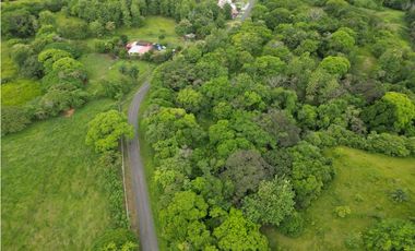 SEA CONFIABLE VENDE TERRENO EN SAN CARLITOS DAVID CHIRIQUI