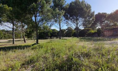 LOTE LAS GAVIOTAS  ANTE ESQUINA