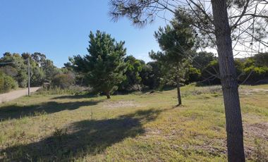LOTE LAS GAVIOTAS ESQUINA