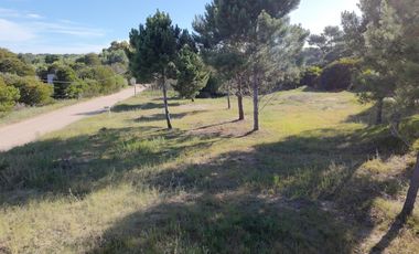 LOTE LAS GAVIOTAS ESQUINA