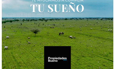 Se venden Parcelas de 5000m2 a 10 min de la Estrellla