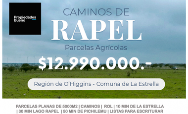 Se venden Parcelas de 5000m2 a 10 min de la Estrellla