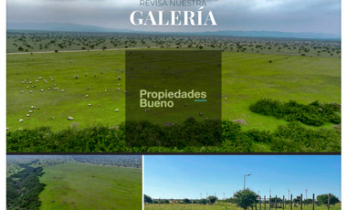 Se venden Parcelas de 5000m2 a 10 min de la Estrellla