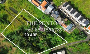 LAND FOR LEASE NYANYI NUANU LUNA BEACH CLUB