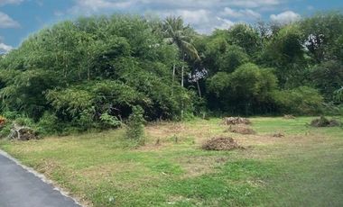 Dijual Tanah Murah di Jogja, Lokasi Area Pemda Sleman