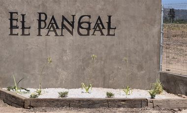 Parcela en Venta en Melipilla