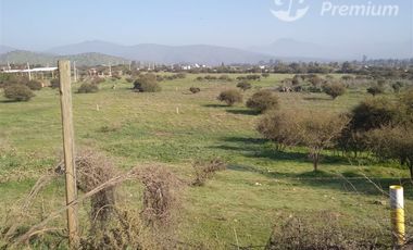 Sitio en Venta en Ruta 68, Km 41, Camino Lo Águila, Curacaví, RM.