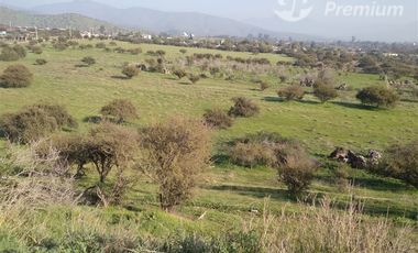 Sitio en Venta en Ruta 68, Km 41, Camino Lo Águila, Curacaví, RM.