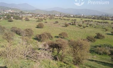 Sitio en Venta en Ruta 68, Km 41, Camino Lo Águila, Curacaví, RM.