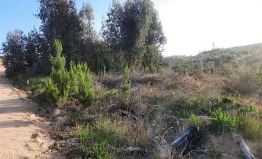 Parcela en Venta en SANTA CONSUELO DE ALCANTARA, SAN PEDRO DE ALCANTARA, PAREDONES, REGION BERNARDO O´HIGGINS