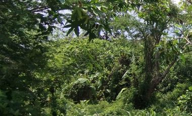 Tanah Strategis di Pusat Perkantoran Timoho