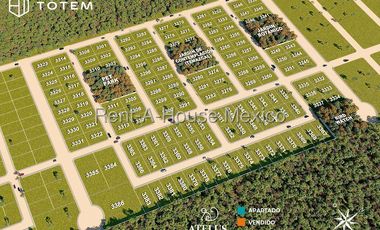 Terreno en Venta en Celestun Pueblo, Celestun MY 25-2656