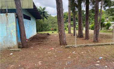 Vendo Remato Local comercial con apartamentos en Chorrera