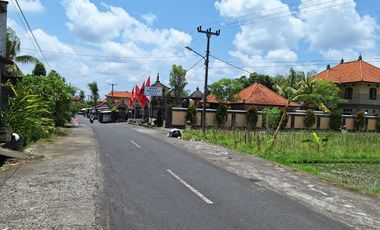 Dijual Tanah Pinggir Jln. Utama Ubud 700 m2 Cocok Usaha dan Vill
