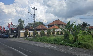 Dijual Tanah Pinggir Jln. Utama Ubud 700 m2 Cocok Usaha dan Vill