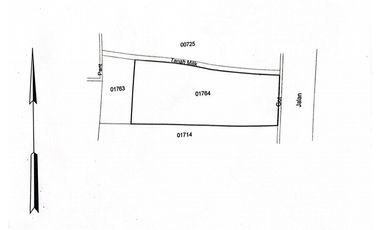 Dijual Tanah Pinggir Jln. Utama Ubud 700 m2 Cocok Usaha dan Vill