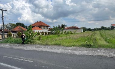 Dijual Tanah Pinggir Jln. Utama Ubud 700 m2 Cocok Usaha dan Vill