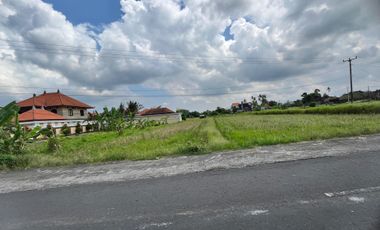 Dijual Tanah Pinggir Jln. Utama Ubud 700 m2 Cocok Usaha dan Vill