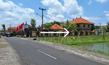 Dijual Tanah Pinggir Jln. Utama Ubud 700 m2 Cocok Usaha dan Vill