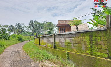 Dijual Vila dengan View Cantik Full Furniture di Segobang - Licin Bany