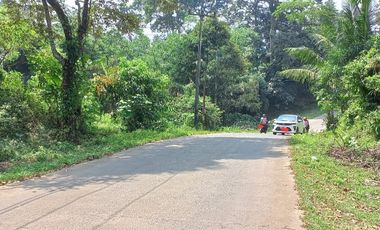 Dijual tanah dekat stadion Badak Pandeglang, 4500 m2, SHM