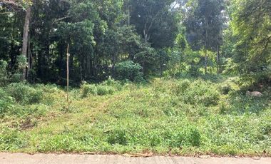 Dijual tanah dekat stadion Badak Pandeglang, 4500 m2, SHM