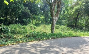 Dijual tanah dekat stadion Badak Pandeglang, 4500 m2, SHM