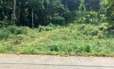 Dijual tanah dekat stadion Badak Pandeglang, 4500 m2, SHM