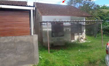 Dijual Rumah Seharga Rp 126Jt di Jembrana - Bali