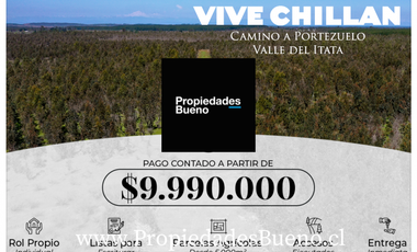 Venta de Parcelas en Chillan - Camino a Portezuelo - Itata