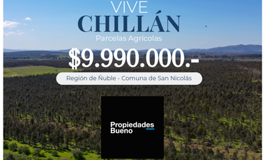 Venta de Parcelas en Chillan - Camino a Portezuelo - Itata