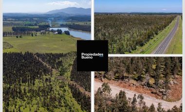 Venta de Parcelas en Chillan - Camino a Portezuelo - Itata