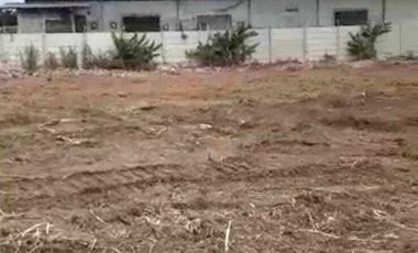 Dijual Murah Tanah Sewan Neglasari  Tangerang