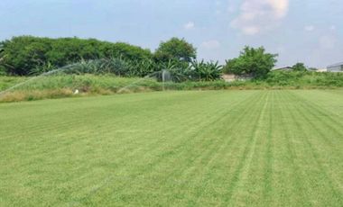 Dijual Murah Tanah Sewan Neglasari  Tangerang