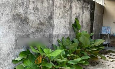 patimura solo DAWUNG