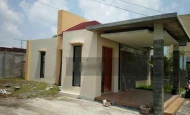 patimura solo DAWUNG