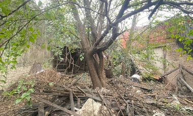 Oportunidad: Casa con dos PH y gran jardín