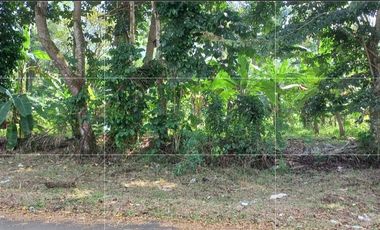 Dijual tanah pinggir jalan dekat SMA, 3020 m2, SHM