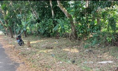 Dijual tanah pinggir jalan dekat SMA, 3020 m2, SHM