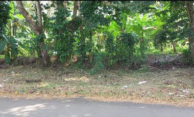 Dijual tanah pinggir jalan dekat SMA, 3020 m2, SHM