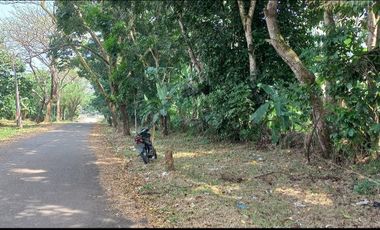 Dijual tanah pinggir jalan dekat SMA, 3020 m2, SHM