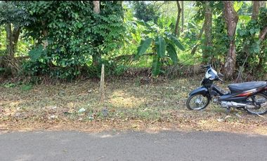 Dijual tanah pinggir jalan dekat SMA, 3020 m2, SHM