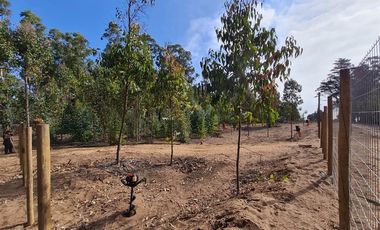 Sitio en Venta en Condominio Las Rocas/ Puchuncaví