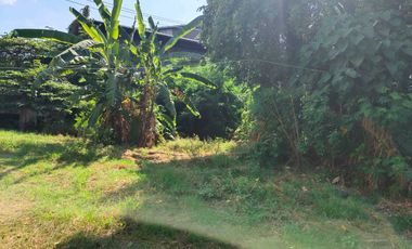 Dijual Tanah strategis daerah pabrik nol jalan raya Tandes