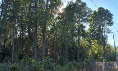 SE VENDEN 11 HECTAREAS DE TERRENO CERCA DE CHILLAN Y POR RECINTO, PINTO