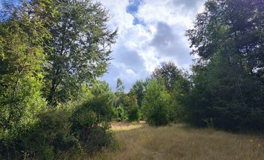 SE VENDEN 11 HECTAREAS DE TERRENO CERCA DE CHILLAN Y POR RECINTO, PINTO