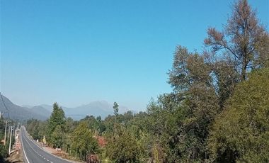 SE VENDEN 11 HECTAREAS DE TERRENO CERCA DE CHILLAN Y POR RECINTO, PINTO