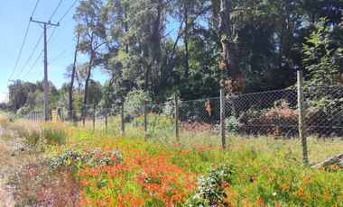 SE VENDEN 11 HECTAREAS DE TERRENO CERCA DE CHILLAN Y POR RECINTO, PINTO